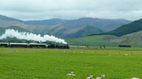 Rundreise Neuseeland // nostalgischer Dampfzug „Kingston Flyer“ &ndash; &copy; Franziska Bergmann (Eberhardt TRAVEL)