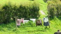 Rundreise Neuseeland // Besuch von Hobbiton &ndash; &copy; Franziska Bergmann (Eberhardt TRAVEL)