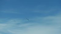 Rundreise Neuseeland // Formation am Himmel &ndash; &copy; Franziska Bergmann (Eberhardt TRAVEL)