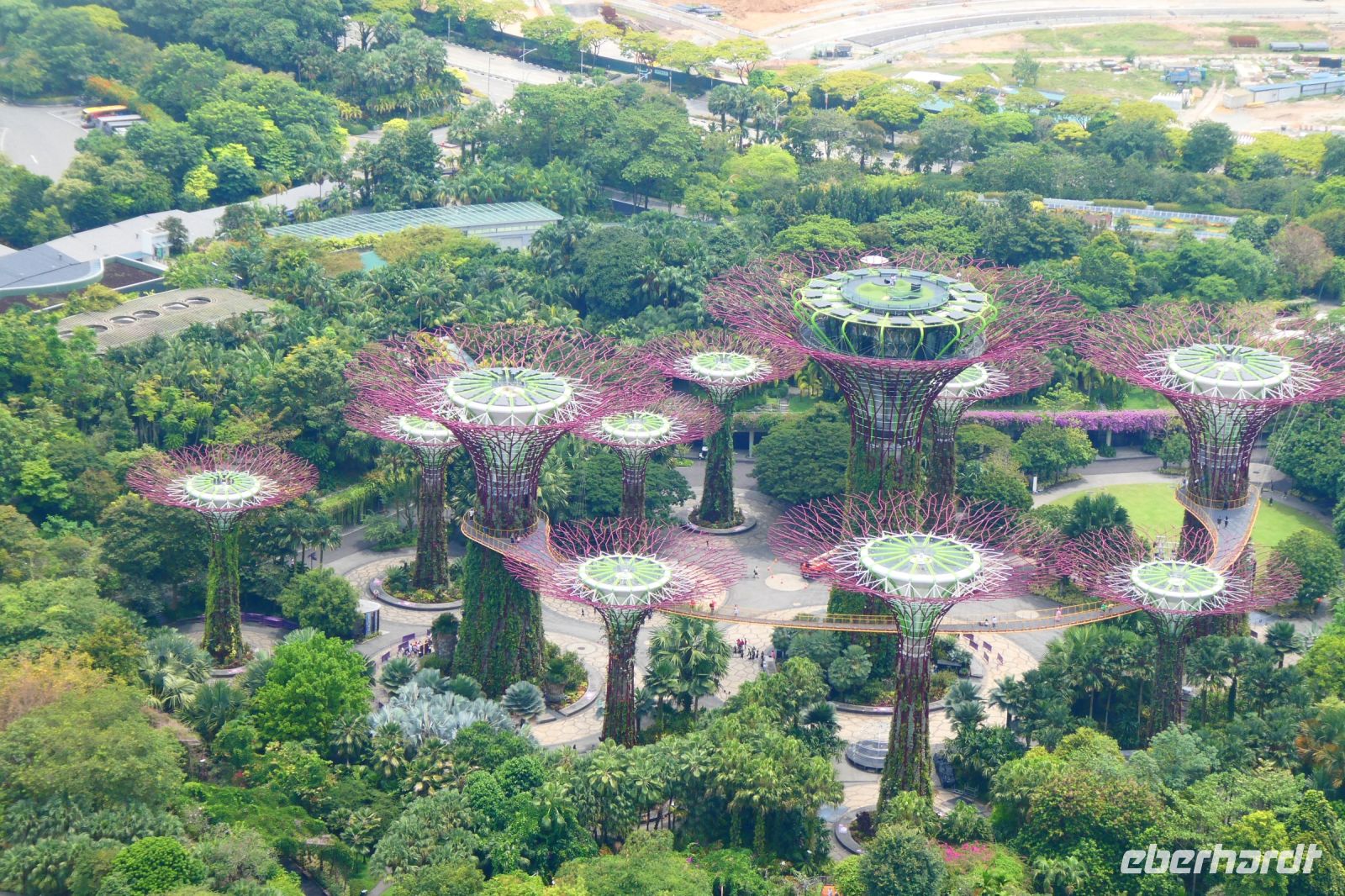Super Trees &ndash; &copy; Gina Egenolf (Eberhardt TRAVEL)