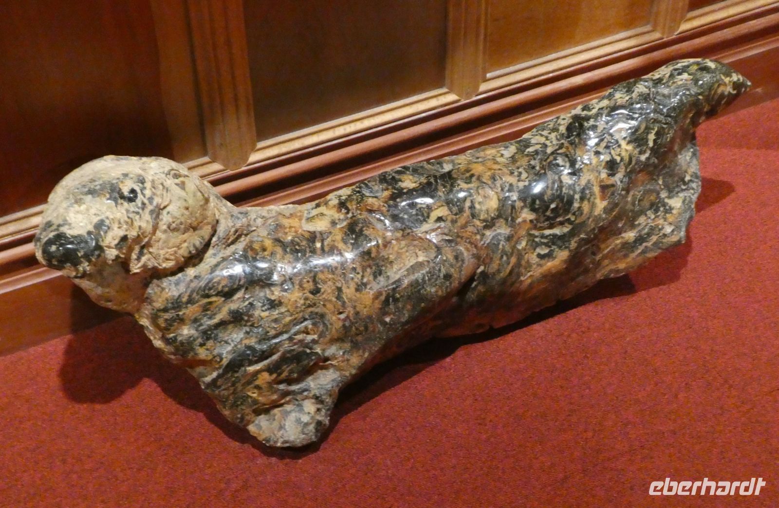 ist das eine Robbe? &ndash; &copy; Gina Egenolf (Eberhardt TRAVEL)