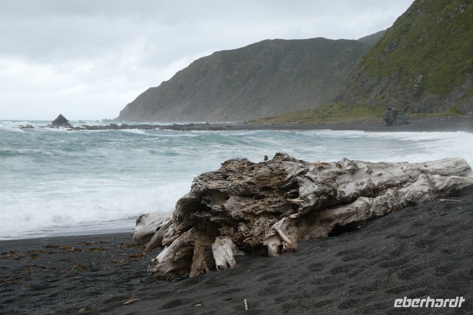 Strandgut &ndash; &copy; Gina Egenolf (Eberhardt TRAVEL)
