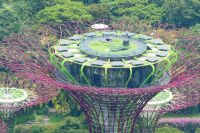 The supertree-observatory &ndash; &copy; Gina Egenolf (Eberhardt TRAVEL)