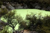 das sieht giftig aus! &ndash; &copy; Gina Egenolf (Eberhardt TRAVEL)