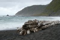 Strandgut &ndash; &copy; Gina Egenolf (Eberhardt TRAVEL)