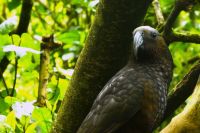 und wer bist Du? &ndash; &copy; Gina Egenolf (Eberhardt TRAVEL)