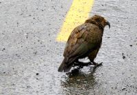 wal wieder Mistwetter! &ndash; &copy; Gina Egenolf (Eberhardt TRAVEL)