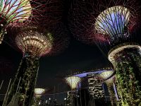 2. Reisetag – Singapur bei Nacht – Gardens by the Bay &ndash; &copy; Andreas Wolfsteller (Eberhardt TRAVEL)