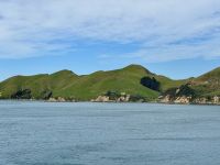 12. Reisetag – Von Wellington nach Kaikoura – Überfahrt mit der Fähre auf die Südinsel – Fahrt durch die Marlborough Sounds &ndash; &copy; Andreas Wolfsteller (Eberhardt TRAVEL)