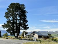 13. Reisetag – Von Kaikoura zum Lake Tekapo – Fotostopp am MacKenzie Country &ndash; &copy; Andreas Wolfsteller (Eberhardt TRAVEL)