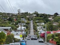 14. Reisetag – Vom Lake Tekapo nach Dunedin – Baldwin Street in Dunedin – Steilste Straße der Welt &ndash; &copy; Andreas Wolfsteller (Eberhardt TRAVEL)