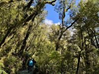 16. Reisetag – Vom Milford Sound nach Queenstown – Rückfahrt nach Te Anau – Spaziergang zum Chasm &ndash; &copy; Andreas Wolfsteller (Eberhardt TRAVEL)