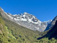 16. Reisetag – Vom Milford Sound nach Queenstown – Rückfahrt nach Te Anau – Aussichtspunkt Hollyford Valley Lookout &ndash; &copy; Andreas Wolfsteller (Eberhardt TRAVEL)