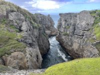 Pancake Rocks (11) &ndash; &copy; Willi Thomas Krupp (Eberhardt TRAVEL)