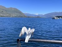 Lake Hawea (1) &ndash; &copy; Willi Thomas Krupp (Eberhardt TRAVEL)