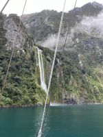 Milford Sound (5) &ndash; &copy; Willi Thomas Krupp (Eberhardt TRAVEL)