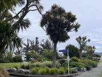 Te Anau (2) &ndash; &copy; Willi Thomas Krupp (Eberhardt TRAVEL)