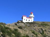 ...auf den Spuren der Albatrosse (2) &ndash; &copy; Willi Thomas Krupp (Eberhardt TRAVEL)