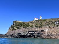 ...auf den Spuren der Albatrosse (3) &ndash; &copy; Willi Thomas Krupp (Eberhardt TRAVEL)