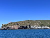 ...auf den Spuren der Albatrosse (4) &ndash; &copy; Willi Thomas Krupp (Eberhardt TRAVEL)