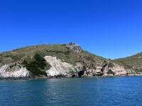...auf den Spuren der Albatrosse (5) &ndash; &copy; Willi Thomas Krupp (Eberhardt TRAVEL)