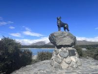 Lake Tekapo (13) &ndash; &copy; Willi Thomas Krupp (Eberhardt TRAVEL)