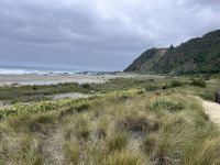...unterwegs nach Kaikoura (8) &ndash; &copy; Willi Thomas Krupp (Eberhardt TRAVEL)