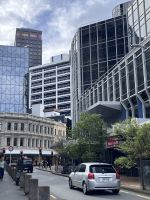 ... in Wellington (8) &ndash; &copy; Willi Thomas Krupp (Eberhardt TRAVEL)