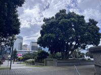 ... in Wellington (12) &ndash; &copy; Willi Thomas Krupp (Eberhardt TRAVEL)