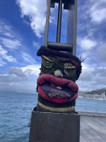 ... in Wellington (13) &ndash; &copy; Willi Thomas Krupp (Eberhardt TRAVEL)
