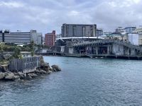 ... in Wellington (15) &ndash; &copy; Willi Thomas Krupp (Eberhardt TRAVEL)