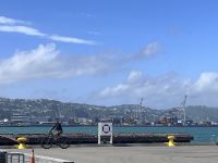 ... in Wellington (20) &ndash; &copy; Willi Thomas Krupp (Eberhardt TRAVEL)