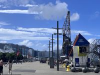 ... in Wellington (21) &ndash; &copy; Willi Thomas Krupp (Eberhardt TRAVEL)