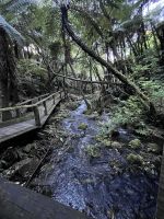 Hangi (10) &ndash; &copy; Willi Thomas Krupp (Eberhardt TRAVEL)
