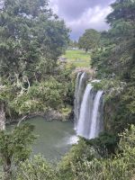 Whangarei Falls (2) &ndash; &copy; Willi Thomas Krupp (Eberhardt TRAVEL)