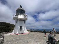 Cape Reinga (3) &ndash; &copy; Willi Thomas Krupp (Eberhardt TRAVEL)