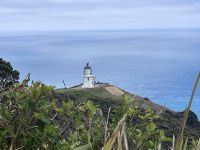 Cape Reinga (10) &ndash; &copy; Willi Thomas Krupp (Eberhardt TRAVEL)