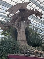 Singapore flower dome (9) &ndash; &copy; Willi Thomas Krupp (Eberhardt TRAVEL)