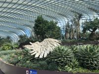 Singapore flower dome (4) &ndash; &copy; Willi Thomas Krupp (Eberhardt TRAVEL)