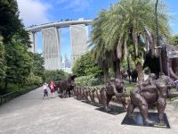 Singapore flower dome (3) &ndash; &copy; Willi Thomas Krupp (Eberhardt TRAVEL)