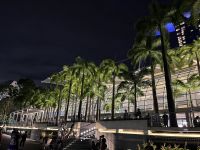 Signapore at night (2) &ndash; &copy; Willi Thomas Krupp (Eberhardt TRAVEL)