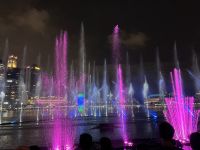 Signapore at night (11) &ndash; &copy; Willi Thomas Krupp (Eberhardt TRAVEL)