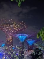 Supertrees &ndash; &copy; Mandy Rauschner (Eberhardt TRAVEL)