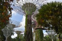Gardens by the Bay &ndash; &copy; Mandy Rauschner (Eberhardt TRAVEL)