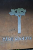 Tane Mahuta &ndash; &copy; Mandy Rauschner (Eberhardt TRAVEL)