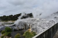 Geysir &ndash; &copy; Mandy Rauschner (Eberhardt TRAVEL)