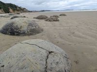 Moeraki Boulders &ndash; &copy; Mandy Rauschner (Eberhardt TRAVEL)