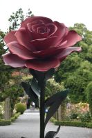 Botanischer Garten