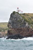 Monarch Wildlife Cruises  &ndash; &copy; Mandy Rauschner (Eberhardt TRAVEL)