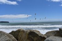 Bruce Bay &ndash; &copy; Mandy Rauschner (Eberhardt TRAVEL)